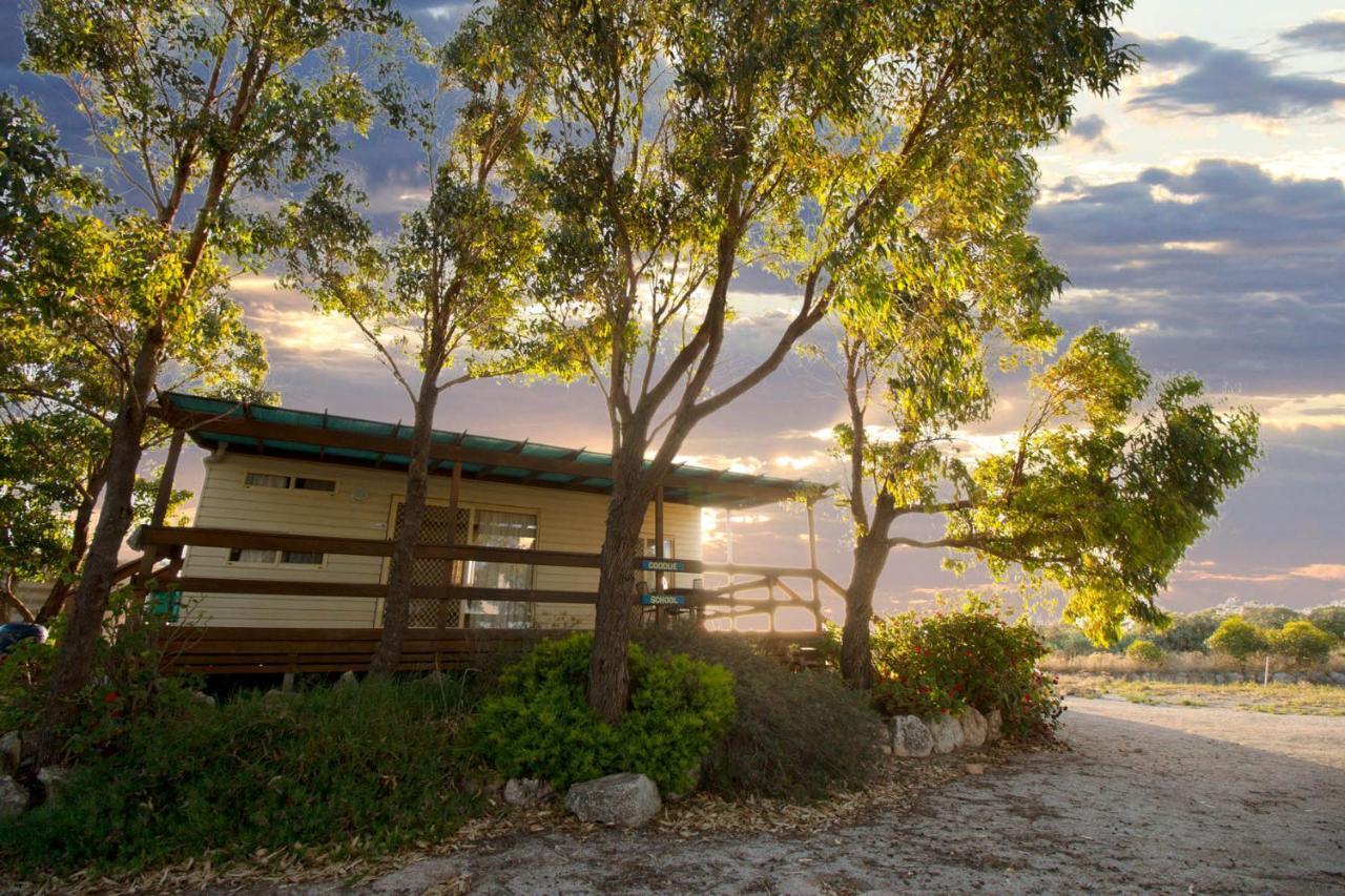 Coodlie Park Eco Retreat Villa Talia Exteriör bild